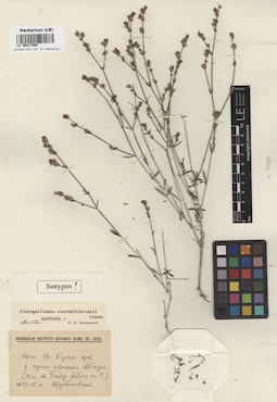 LE 00017565