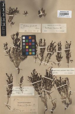 LE 00017570