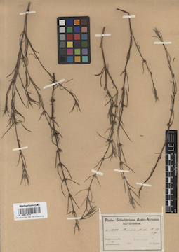LE 00017574