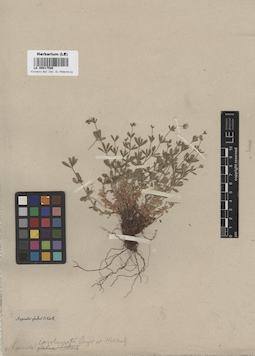 LE 00017580