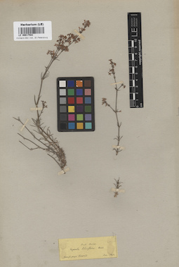LE 00017583