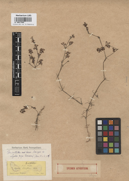 LE 00017585