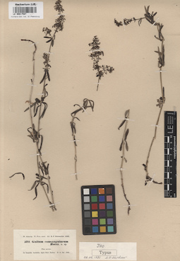 LE 00017587