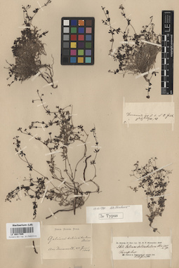 LE 00017595