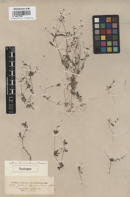 LE 00017598