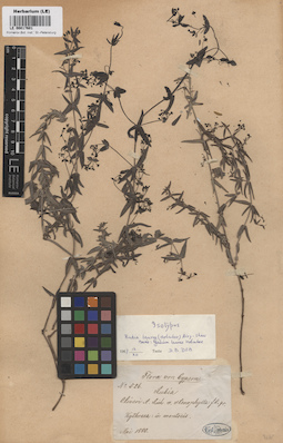 LE 00017601