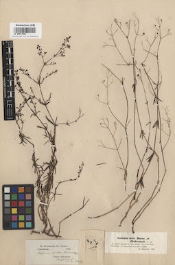 LE 00017602