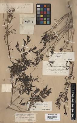 LE 00017608