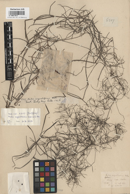 LE 00017612