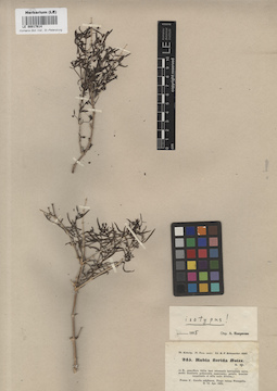 LE 00017614