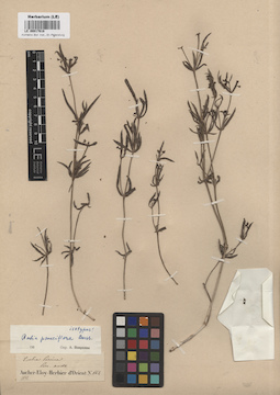 LE 00017618