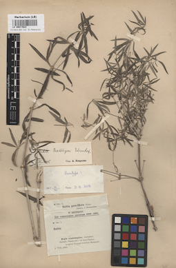 LE 00017623