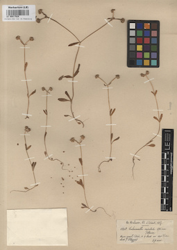 LE 00017628