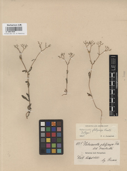 LE 00017630