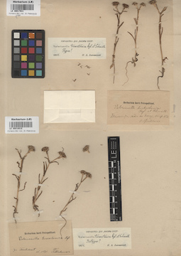 LE 00017631