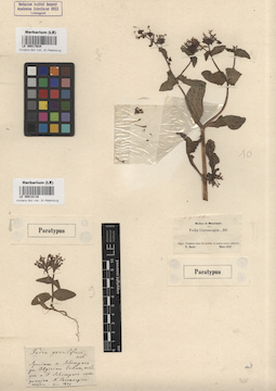 LE 00017634