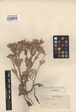 LE 00017635