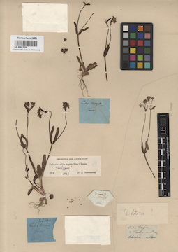 LE 00017638