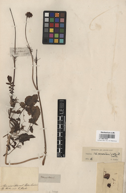 LE 00017640