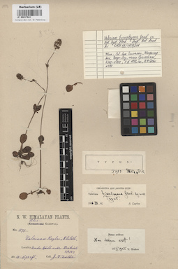 LE 00017641