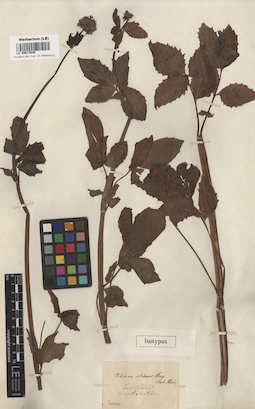 LE 00017645