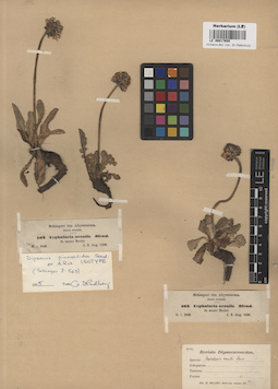 LE 00017659