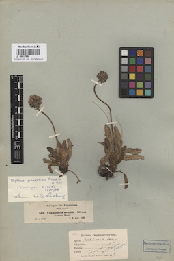 LE 00017660