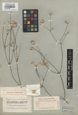 LE 00017663