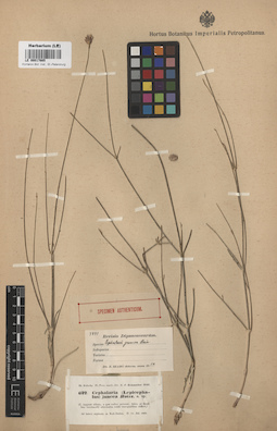 LE 00017665