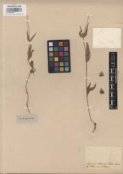 LE 00017671