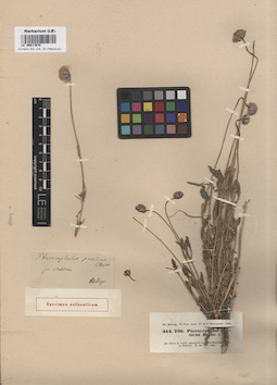 LE 00017678
