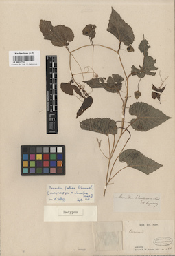 LE 00017721
