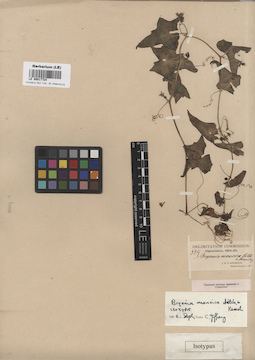 LE 00017724