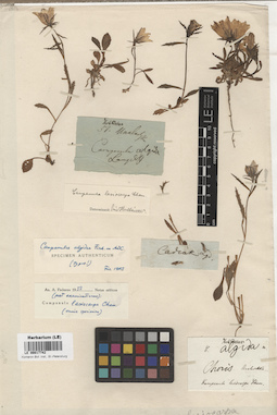 LE 00017742