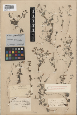 LE 00017748