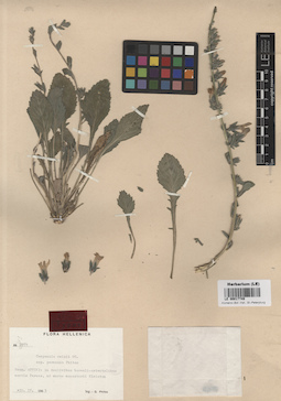 LE 00017749