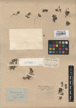 LE 00017751