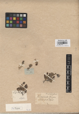 LE 00017753