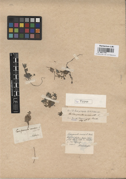 LE 00017754