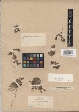 LE 00017755