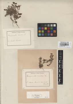 LE 00017756