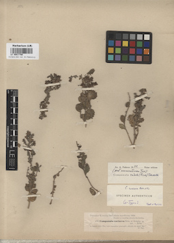 LE 00017760