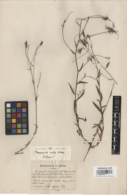 LE 00017761