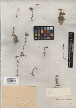 LE 00017763