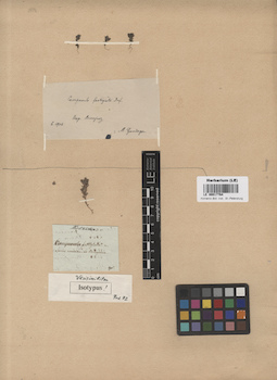 LE 00017764