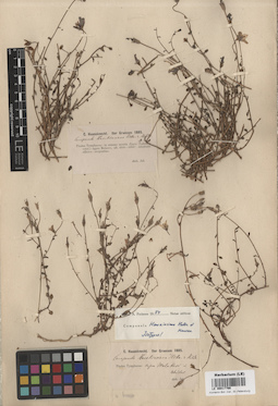 LE 00017766