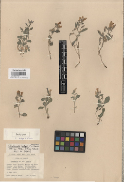 LE 00017767