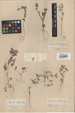 LE 00017769