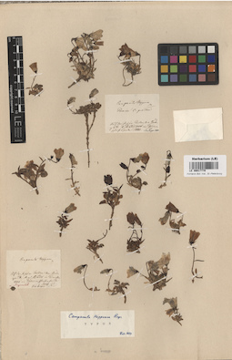LE 00017770