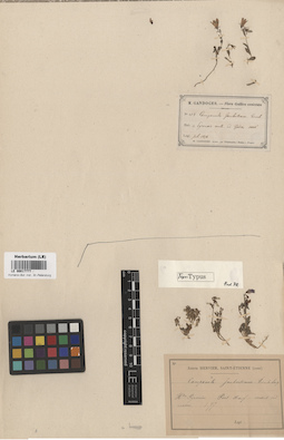 LE 00017777